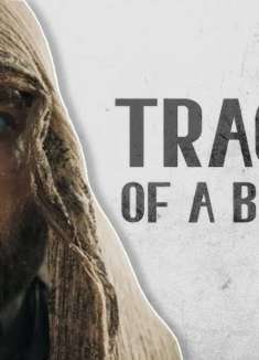 我叫斯第尔格，保罗迷弟、甜茶头号粉！