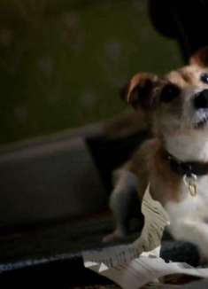 360 度劝退广告，做个懒人挺好的