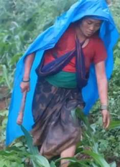 只要肯吃苦就有吃不得苦，翠花一天淋着雨除草干活 