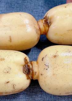 立冬时，白菜萝卜往后站，莲藕这吃法正当时，比包子香，比油条香