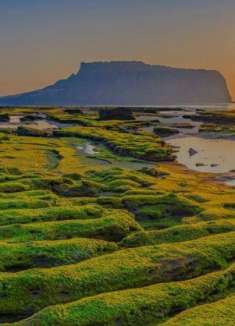 济州岛：宁静乡村与蔚蓝大海