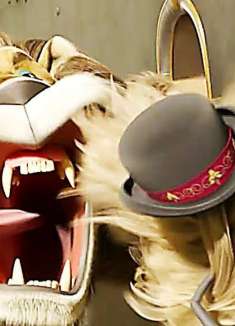 亚当斯一家「家庭公路旅行生存秘诀」专题报道