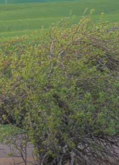 静态自然：让人心旷神怡