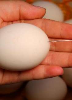 今天才发现，鸡蛋上插一根针，作用实在太厉害了，看完收藏了