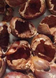 吃剩的板栗壳千万别丢掉了，它的神奇用途太厉害，快去找找