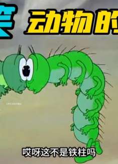 搞笑配音：动物们的一天是怎么度过的 实在太离谱了！