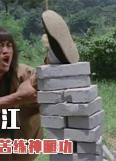 小伙被岳父侮辱，一怒之下找高人拜师，竟意外习得七绝神腿！武侠