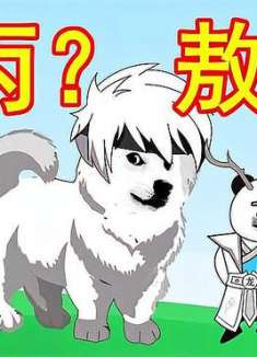 第二十八集，变个敖丙獒犬出来跟哪咤相爱相s？