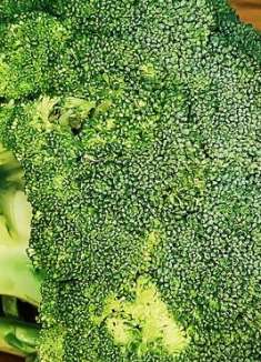 这才是西兰花最好吃的做法，比吃肉还香，一大盘上桌都不够吃