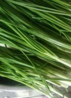 宽叶韭菜和细叶韭菜到底有什么区别?今天终于知道了,以后别买错