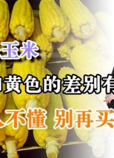 一样是玉米，白色和黄色的差别有多大？很多人不懂，别再买错了