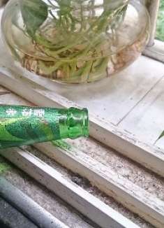 啤酒倒在窗台缝隙上，好多人都不知道有啥用，但试过的人都说实用