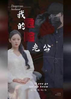 我的危险老公