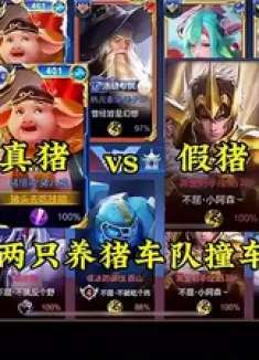 真假养猪车队之间的较量