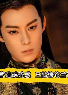 望周知，破碎感不是靠吐血来营造的，王鹤棣苍兰诀杀疯了