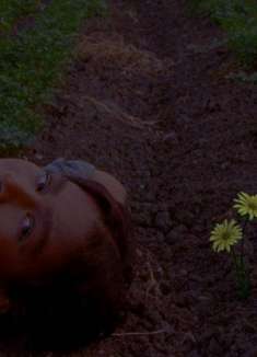 惬意午后必备：R&B 新锐 Orion Sun 新歌「Concrete」MV