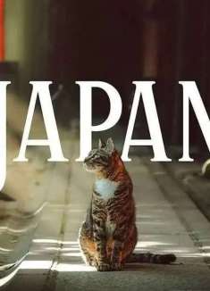 边走边拍，奇妙光影里的日本街头