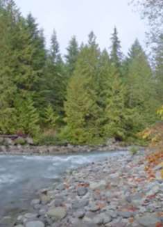 美丽环境：让人陶醉不已的美景