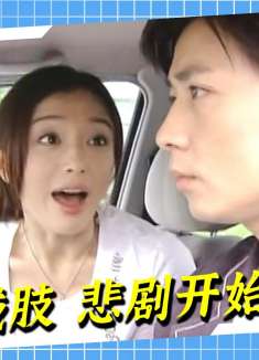 一帘幽梦9:绿萍楚濂出车祸，紫菱崩溃大哭：我是凶手！