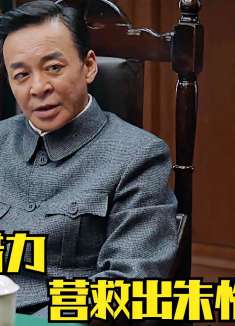 顾慎言借力营救出朱怡贞