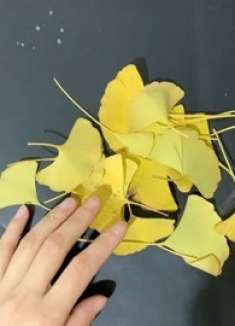 树叶还能这么玩？只需简单的这几步，做好后谁要也不给