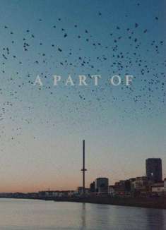 沉浸式体验「落霞与孤鹜齐飞」