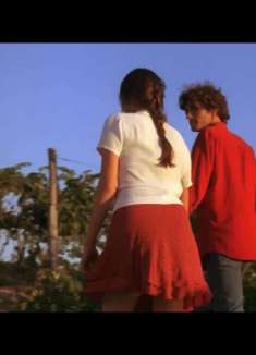 偷香 ：生命那场华丽的盛宴