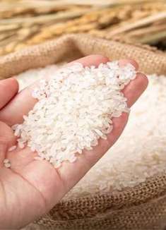 把剪刀插进大米里，没想到这么厉害，一年省下不少钱，快叮嘱家人