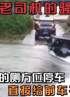 全网老司机的骚操作，司机大哥的侧方位停车，直接给前车干自闭了