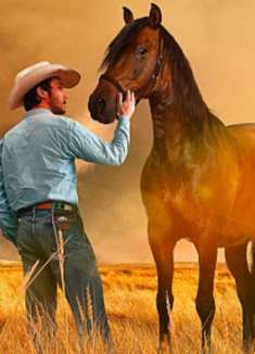 「骑士」：现实与梦想的挣扎