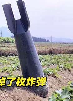 豆瓣8.6分，农民天天盼着轰炸，看似幽默，背后充满心酸3