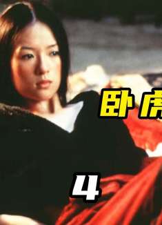 首部华语奥斯卡最佳外语片《卧虎藏龙》深度解析④