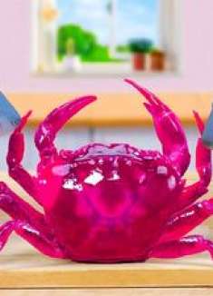 小鲨鱼的烹饪美食 螃蟹和意大利面这样煮真好吃