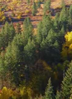 华盛顿州：美不胜收，惊叹不已