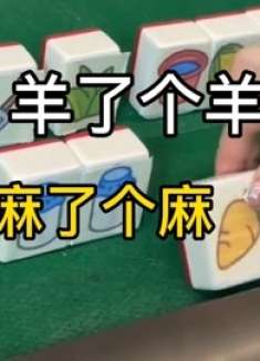 疯狂的羊了个羊之铁了个铁，麻了个麻！