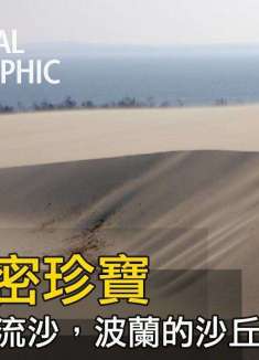 波罗的海的隐藏「沙漠」，海岸边的流沙竟暗藏生存挑战？