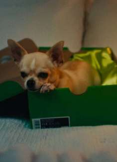 Nike 最酷炫联名，一镜到底街头时尚