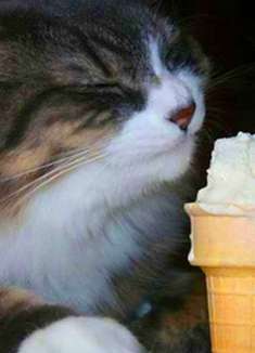 宠物爱好者！看一下这个！