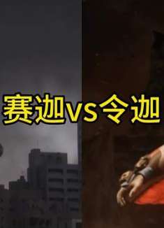 深度解析，赛迦vs令迦！