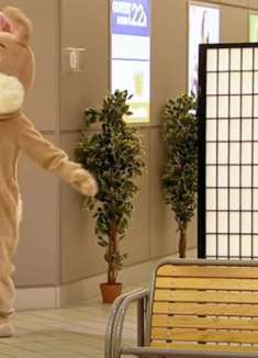 宠物在公众场合被捕是种什么体验？