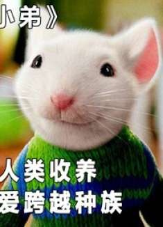 小老鼠被人类收养，一家人的爱跨越种族，奇幻片《精灵鼠小弟》