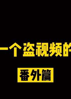 洛山鸡欢乐吐槽全盘盗运作品的沙雕且不良行为