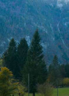 格拉夫国家公园：享受自然的魅力