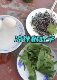 村里举行抠王比赛，鸡蛋汤只得7分，爆炒螺丝钉却得10分