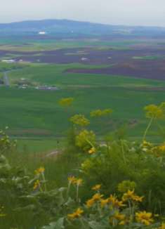 放松视频：让你感受自然的魅力