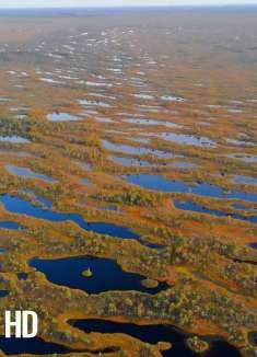 飞越拉脱维亚，欣赏绝美自然风光