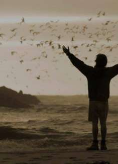 创意影视混剪：去寻找属于自己的山野