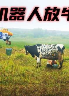 老头捕获到一架UFO，将上面的零件拆下来制成机器人为他当牛做马