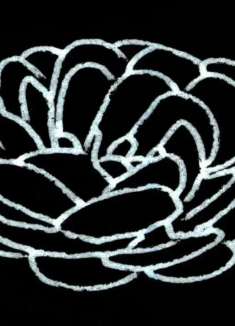 迷幻电子 MV，超爽「失真」即一切