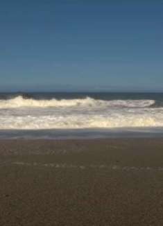 太平洋之声：美艳动人，让人陶醉